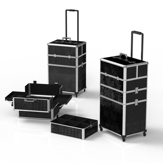 Trolley con 4 ruote e...